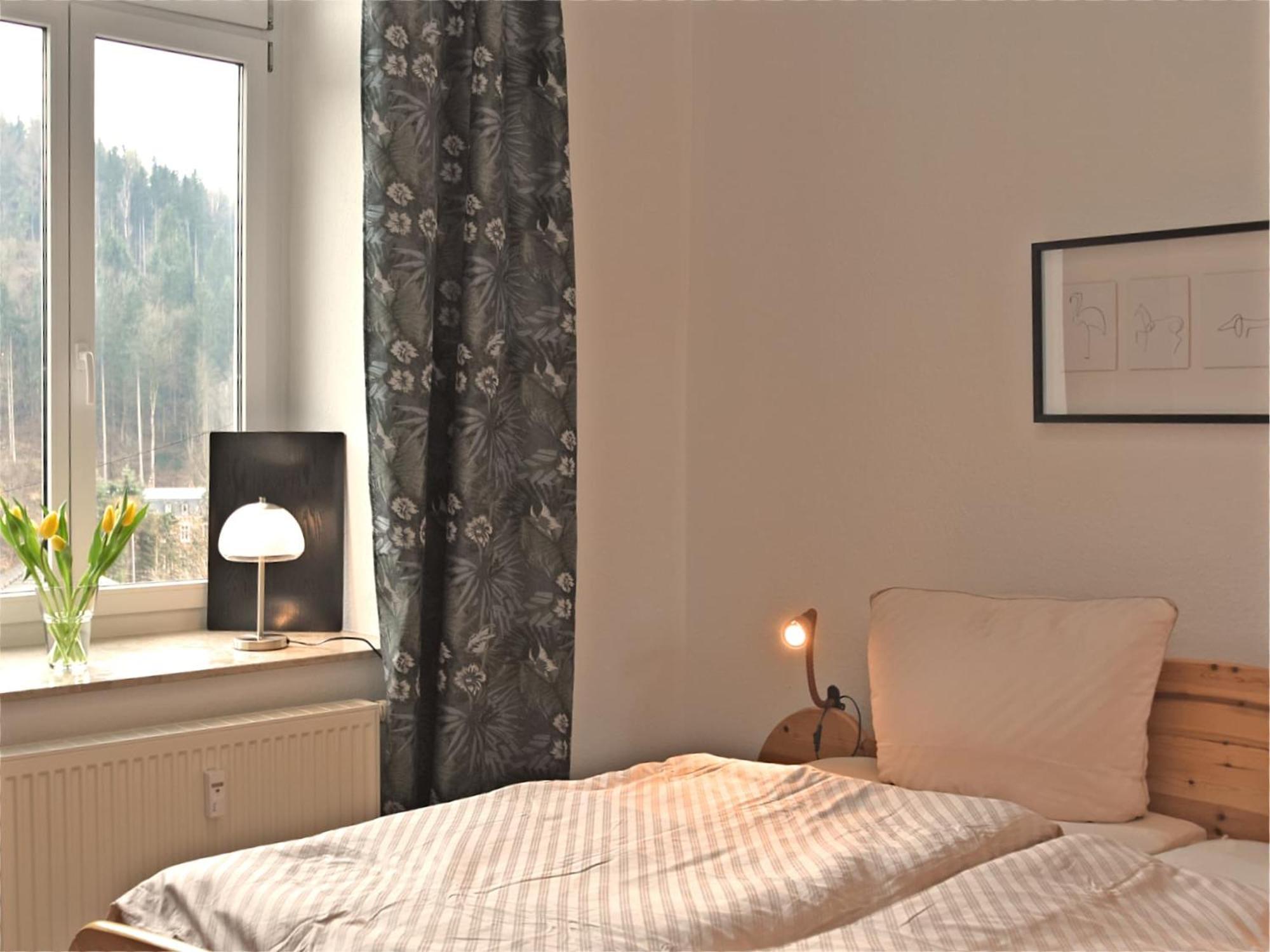 Alluring Villa In Grunhainichen Borstendorf With Garden Leubsdorf Eksteriør billede
