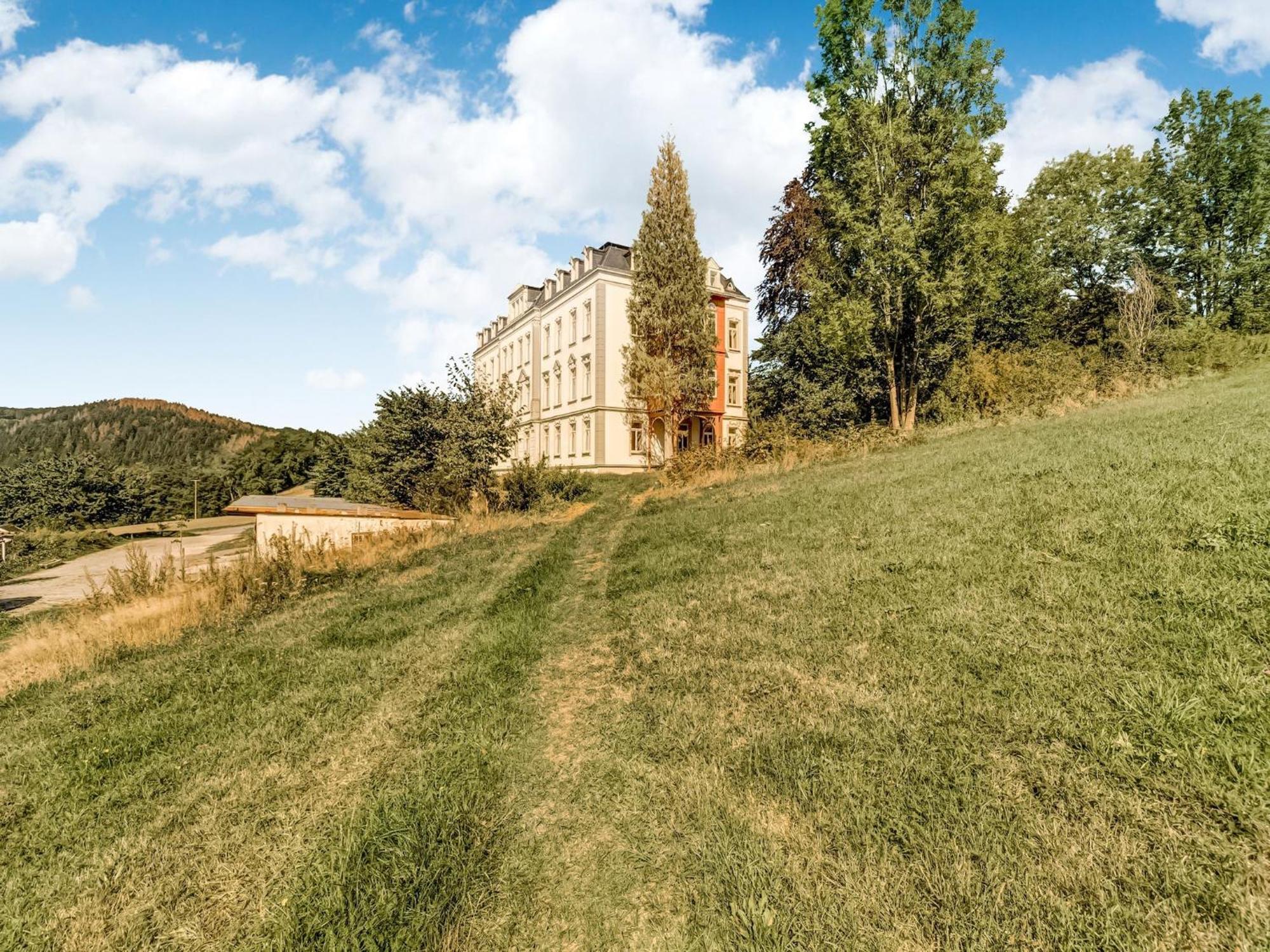 Alluring Villa In Grunhainichen Borstendorf With Garden Leubsdorf Eksteriør billede