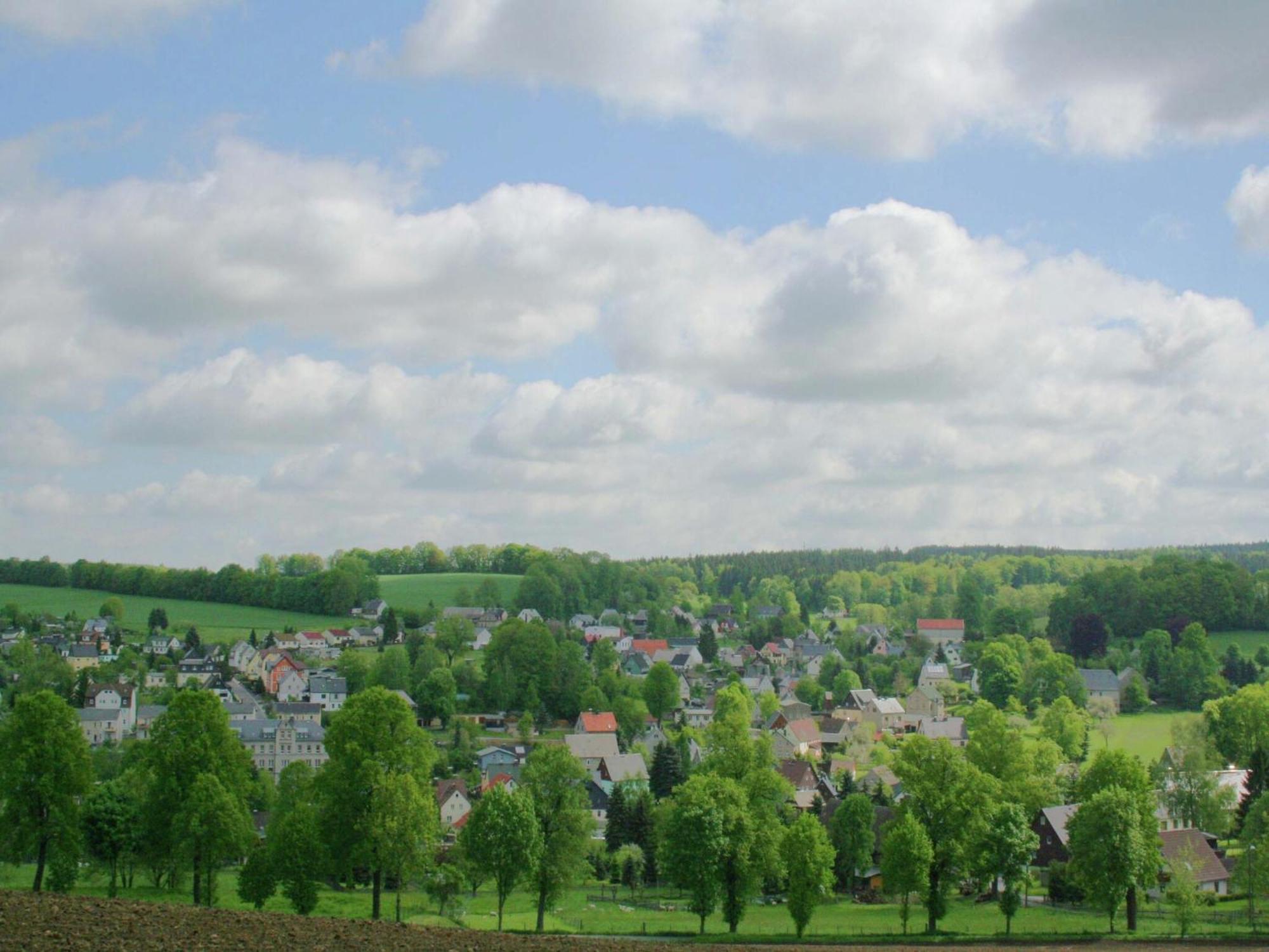 Alluring Villa In Grunhainichen Borstendorf With Garden Leubsdorf Eksteriør billede