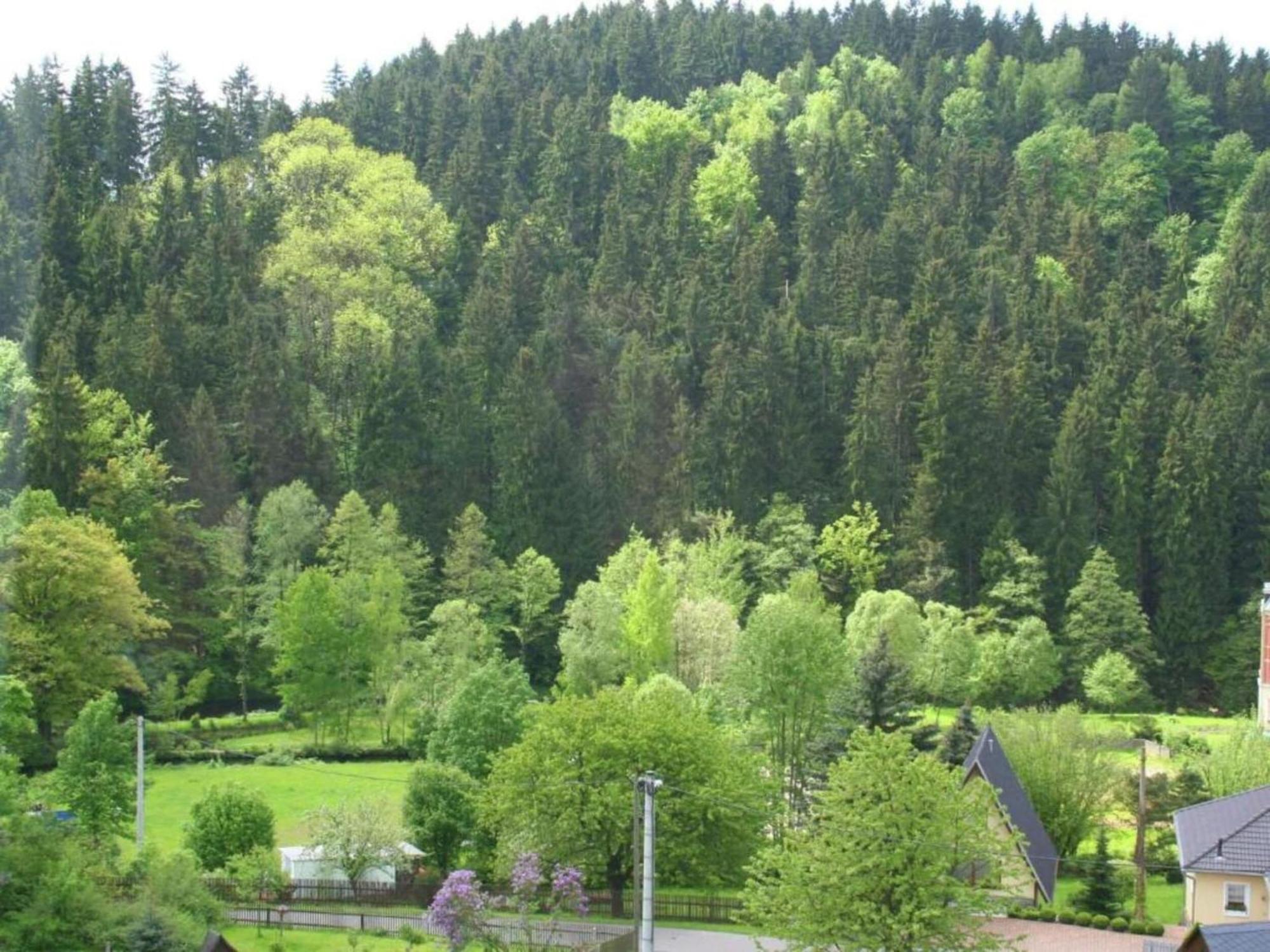 Alluring Villa In Grunhainichen Borstendorf With Garden Leubsdorf Eksteriør billede